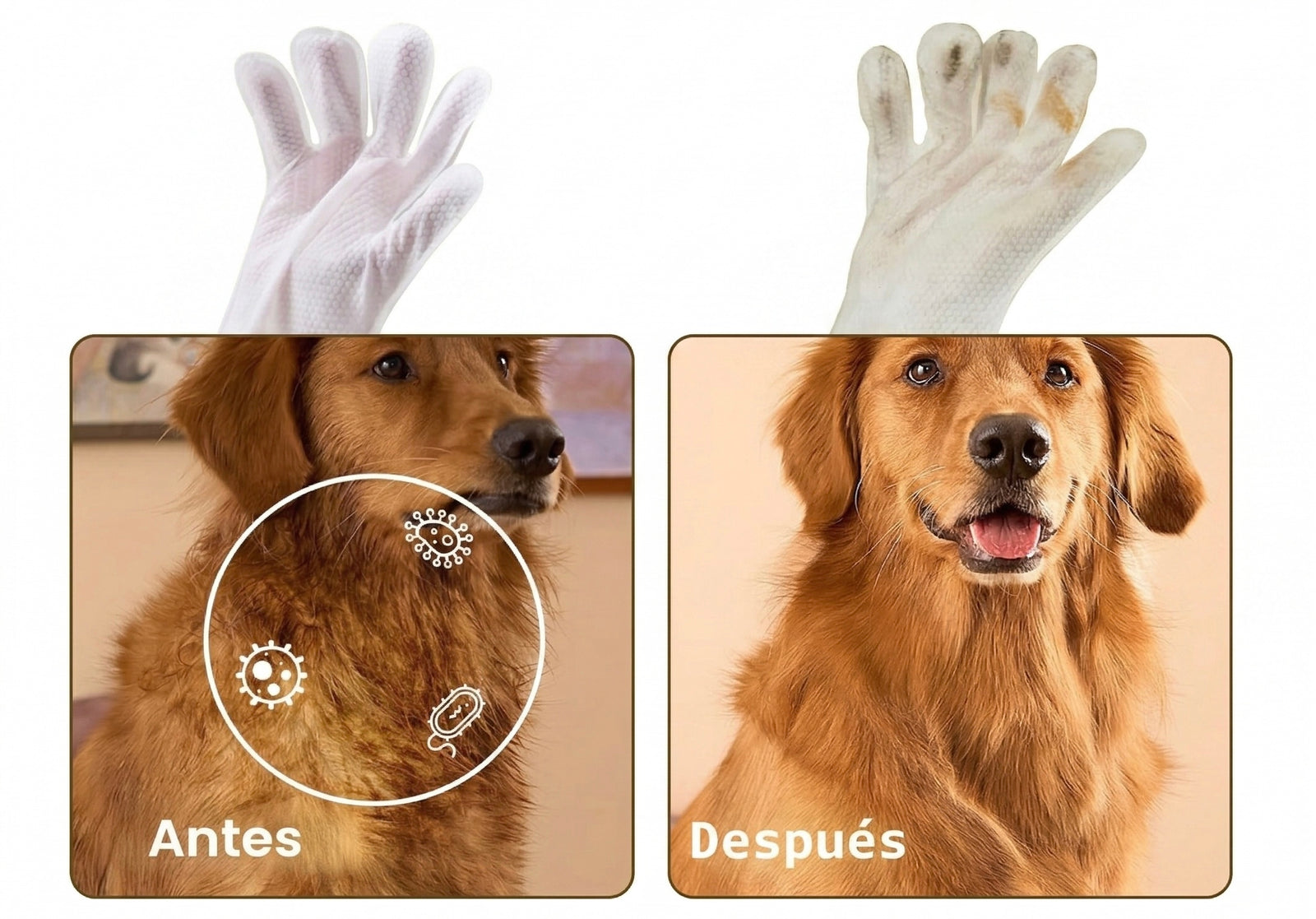 Mejora visible